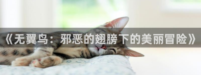 哔咔漫画官网入口在哪：《无翼鸟：邪恶的翅膀下的美丽冒险》