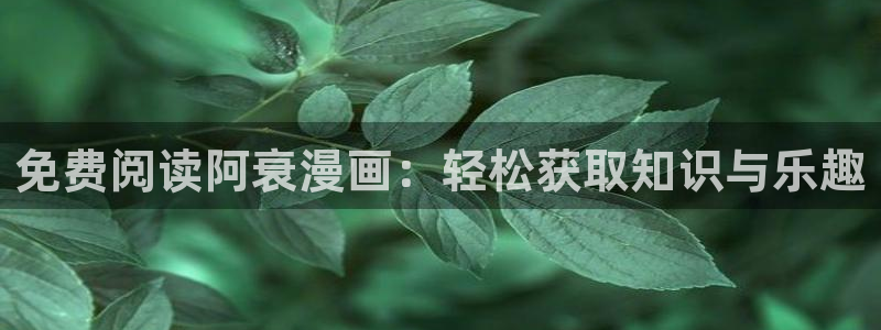 哔咔漫画的地址