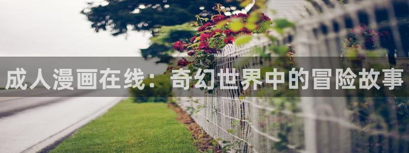 哔咔哔咔漫画仲夏版：成人漫画在线：奇幻世界中的冒险故事